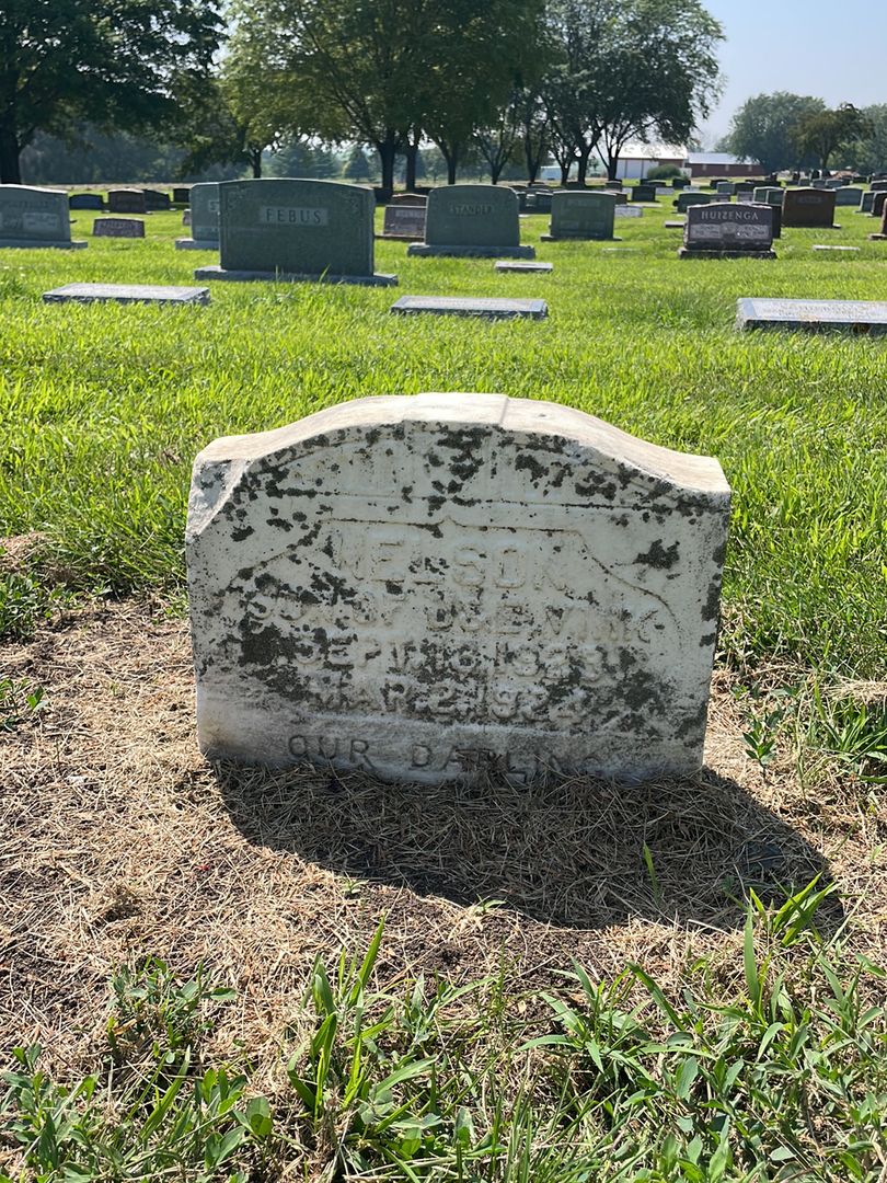 Nelson Van Beek's grave. Photo 1