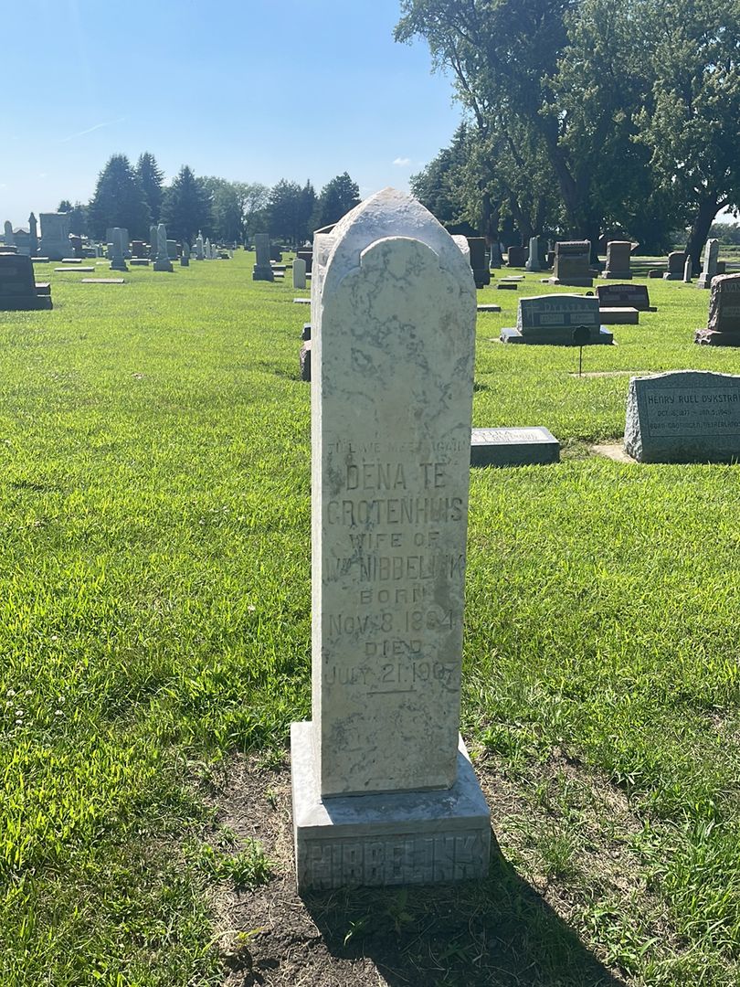Dena Te Grotenhuis Nibbelink's grave. Photo 1