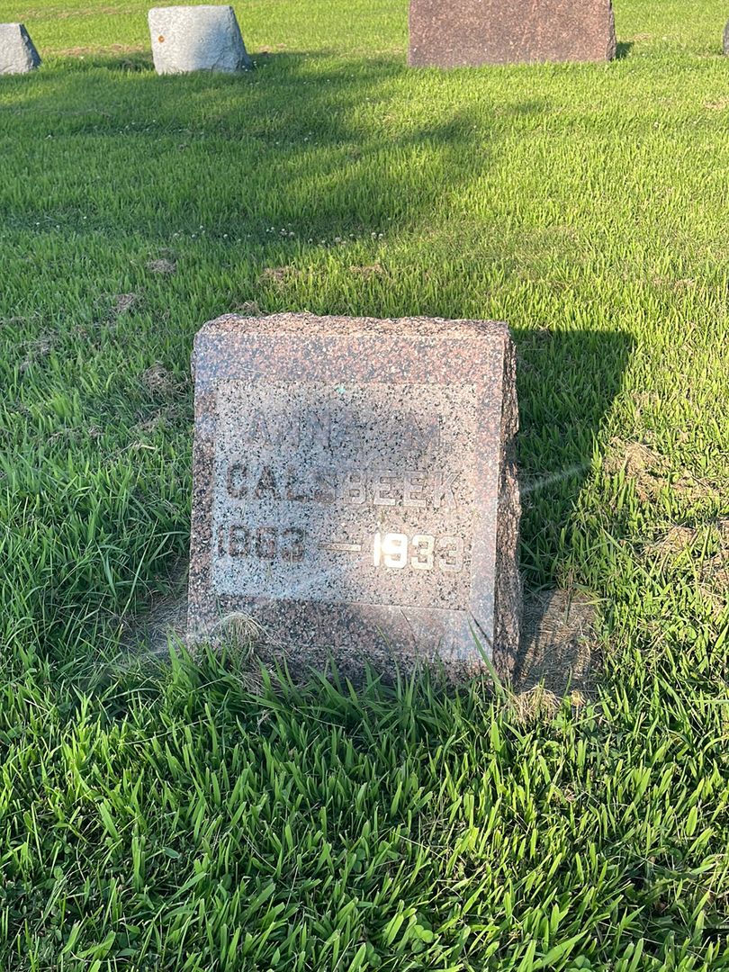 Anna M. Calsbeek's grave. Photo 1
