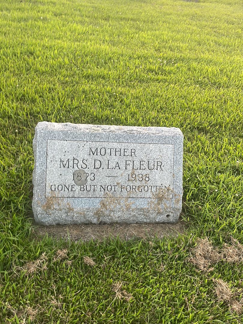 Missus/Madam D. La Fleur's grave. Photo 1