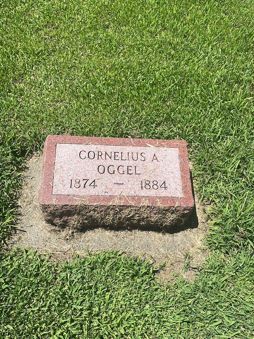 Cornelius A. Oggel's grave. Photo 1