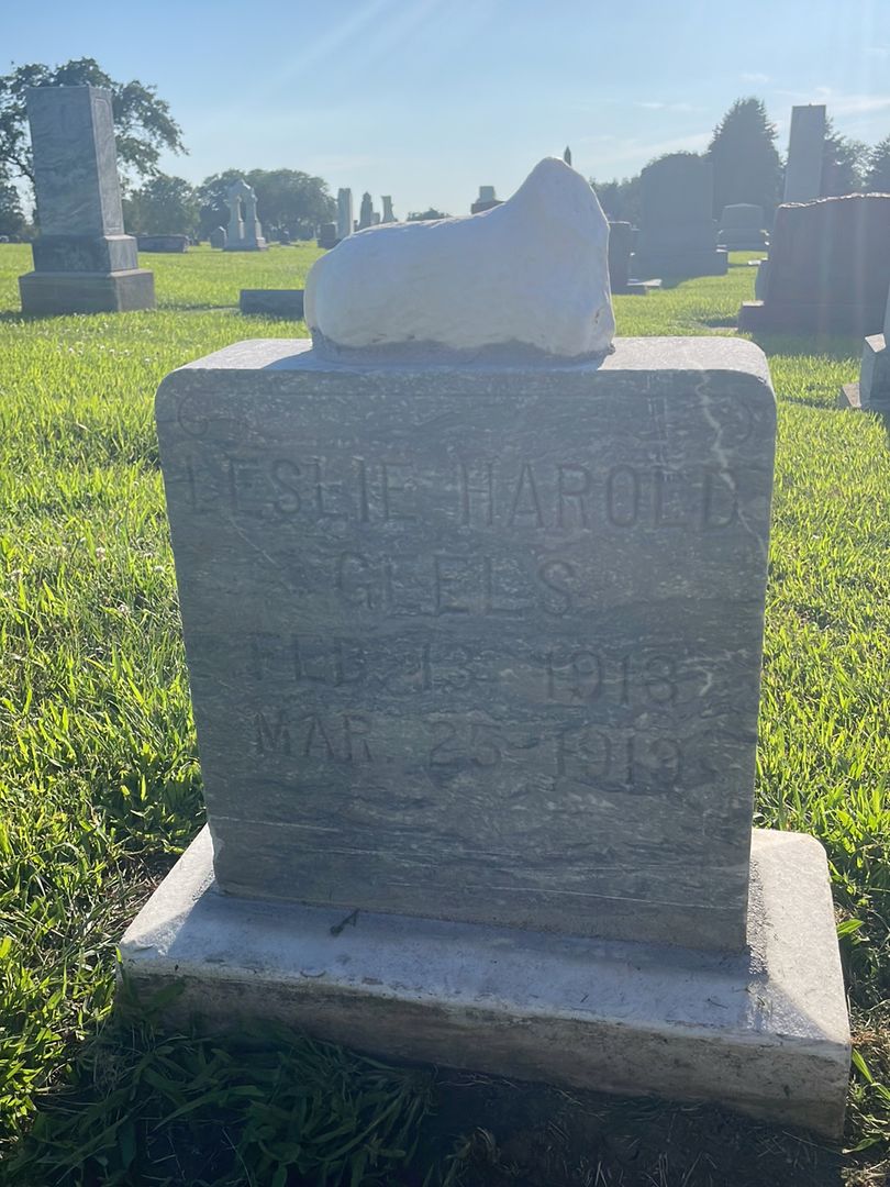 Leslie Harold Geels's grave. Photo 1